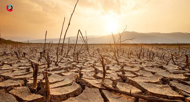 WHEN THE RAINS WITHHOLD